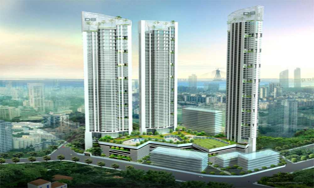 Neillia Elite